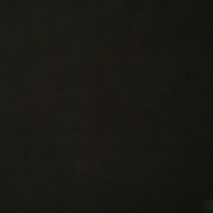 Meet your Posher, Jackson